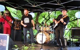 IMG_8884-crop