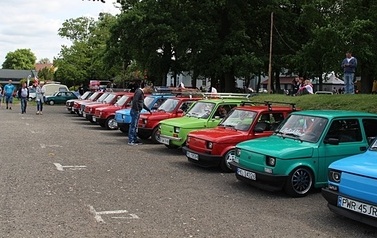 IMG_7719-crop