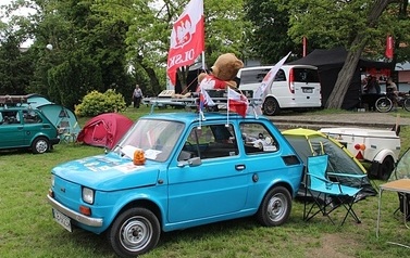 IMG_7731-crop