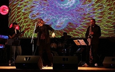IMG_8226-crop