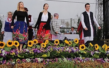 IMG_9879-crop