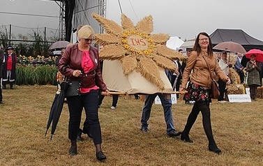IMG_9778-crop