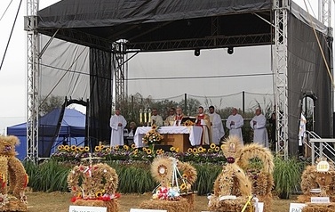 IMG_9733-crop