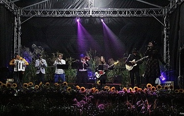 IMG_9958-crop