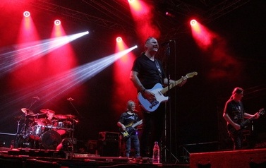 IMG_8811-crop
