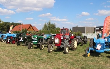 IMG_4375-crop