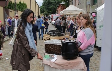 IMG_0456-crop