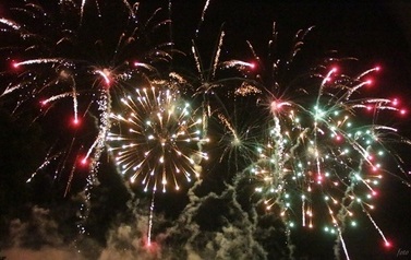 IMG_0440-crop