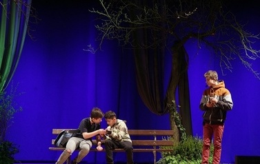 IMG_0004-crop